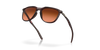 [Prizm Brown Gradient Lenses, Matte Rootbeer Frame]