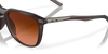 [Prizm Brown Gradient Lenses, Matte Rootbeer Frame]