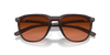 [Prizm Brown Gradient Lenses, Matte Rootbeer Frame]