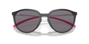 Prizm Grey Polarized Lenses, Matte Black Ink Frame