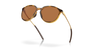 [Prizm Bronze Polarized Lenses, Polished Brown Tortoise Frame]