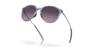 [Prizm Grey Gradient Lenses, Matte Lilac Frame]