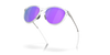 [Prizm Violet Lenses, Polished Chrome Frame]