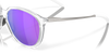 [Prizm Violet Lenses, Polished Chrome Frame]