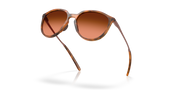 Prizm Brown Gradient Lenses, Matte Ginger Tortoise Frame