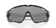 Clear To Black Iridium Photochromic Lenses, Polished Black Frame