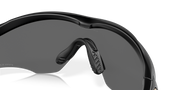 Prizm Black Polarized Lenses, Matte Black Frame