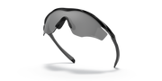 Prizm Black Polarized Lenses, Polished Black Frame