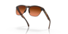 [Prizm Brown Gradient Lenses, Matte Brown Tortoise Frame]