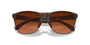 Prizm Brown Gradient Lenses, Matte Brown Tortoise Frame