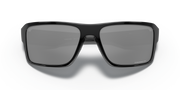 Prizm Black Polarized Lenses, Polished Black Frame