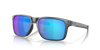 [Prizm Sapphire Polarized Lenses, Steel Frame]