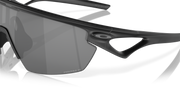 Prizm Black Polarized Lenses, Matte Black Frame