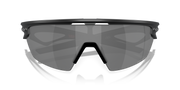 Prizm Black Polarized Lenses, Matte Black Frame