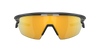 [Prizm 24K Polarized Lenses, Matte Carbon Frame]