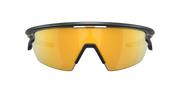 Prizm 24K Polarized Lenses, Matte Carbon Frame