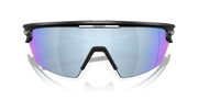 Prizm Deep Water Polarized Lenses, Matte Black Frame