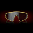 Prizm Black Lenses, Gold Grass Frame