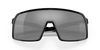 [Prizm Black Lenses, Polished Black Frame]