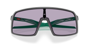 Prizm Slate Lenses, Steel Frame