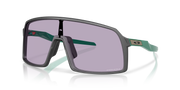 Prizm Slate Lenses, Steel Frame