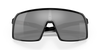 [Prizm Black Lenses, Polished Black Frame]