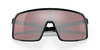 [Prizm Snow Black Iridium Lenses, Polished Black Frame]