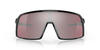 [Prizm Snow Black Iridium Lenses, Polished Black Frame]