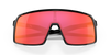 [Prizm Snow Torch Lenses, Polished Black Frame]