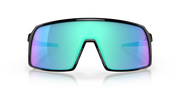 Prizm Sapphire Lenses, Polished Black Frame