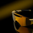 Prizm 24K Lenses, Gold Frame