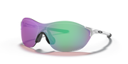 Prizm Golf Lenses, Silver Frame