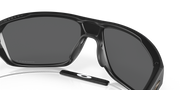 Prizm Black Polarized Lenses, Matte Black Frame