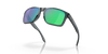 [Prizm Jade Lenses, Crystal Black Frame]