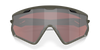 [Prizm Snow Black Iridium Lenses, Matte Olive Frame]