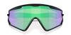 [Prizm Road Jade Lenses, Matte Black Frame]