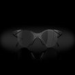 Prizm Black Lenses, Carbon Fiber Frame