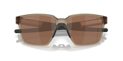 Prizm Tungsten Polarized Lenses, Brown Smoke Frame