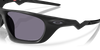 [Prizm Grey Lenses, Matte Black Ink Frame]