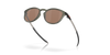 [Prizm Tungsten Lenses, Matte Olive Ink Frame]