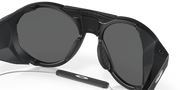 Prizm Black Polarized Lenses, Matte Black Frame