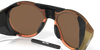 [Prizm Bronze Lenses, Matte Red Gold Colorshift Frame]