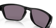 Prizm Grey Lenses, Polished Black Frame