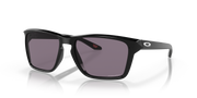 Prizm Grey Lenses, Polished Black Frame