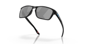 Black Iridium Polarized Lenses, Black Ink Frame