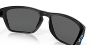 Black Iridium Polarized Lenses, Black Ink Frame