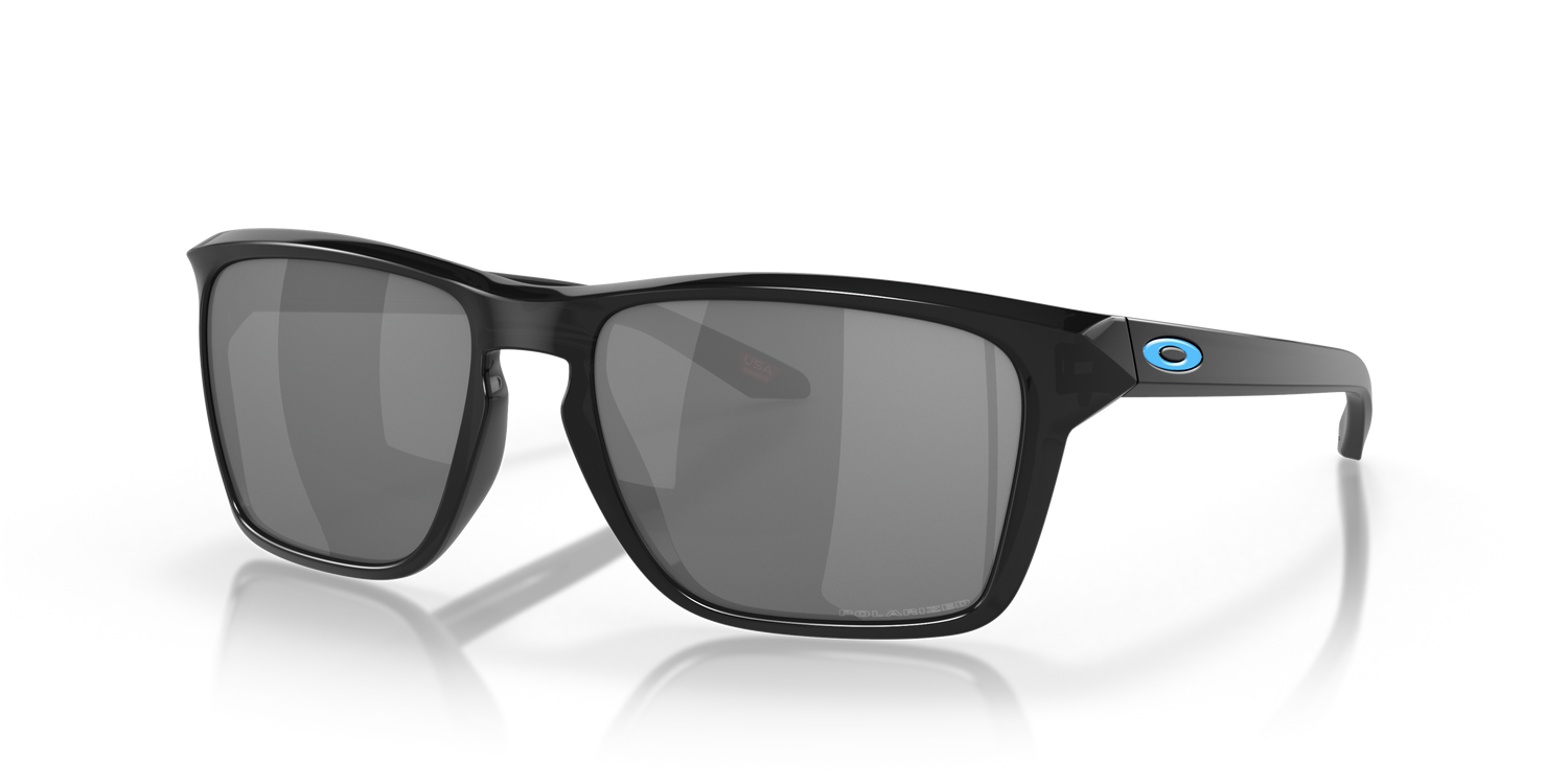 [Black Iridium Polarized Lenses, Black Ink Frame]