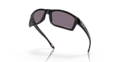 Prizm Grey Lenses, Polished Black Frame