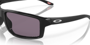 Prizm Grey Lenses, Polished Black Frame