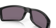 Prizm Grey Lenses, Polished Black Frame